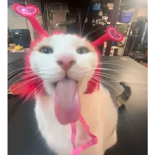 😛