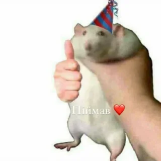 🐹