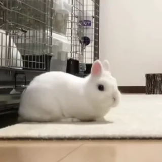 🥱