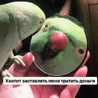 🦜