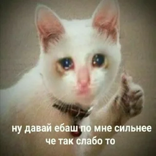 😥
