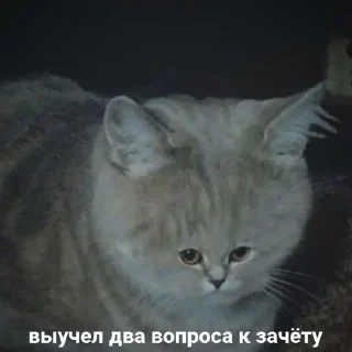 🤯