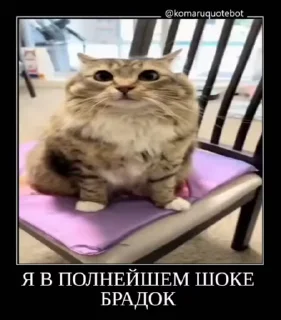 😨
