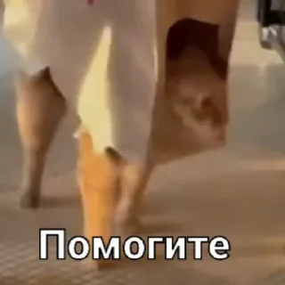😄