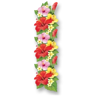 🌼