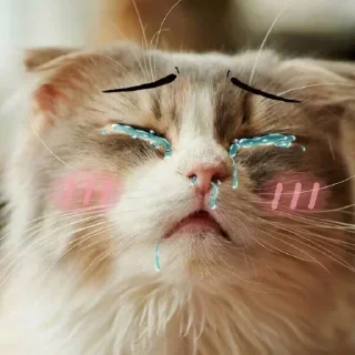 😭