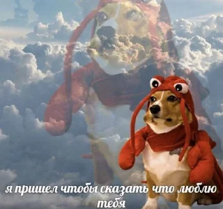 ❤️
