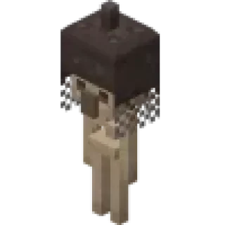 🦴