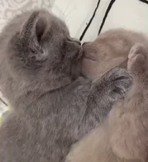 💋