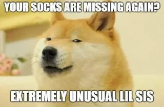🧦