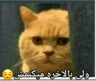 😌