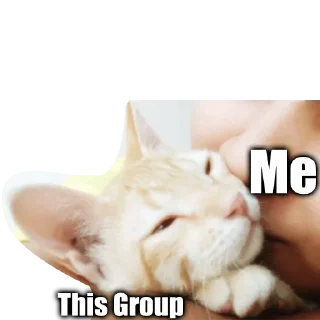 🙌