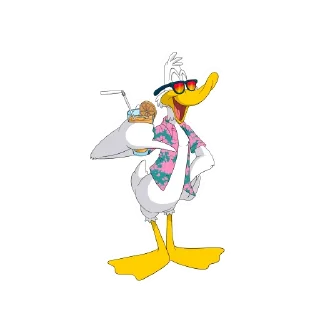 😎