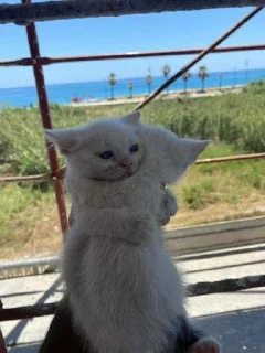 🤗