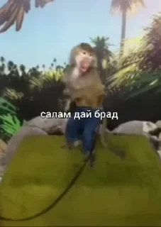 😜