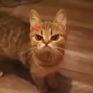 😠