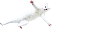 🕺