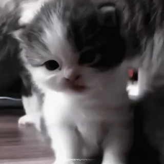 🍙