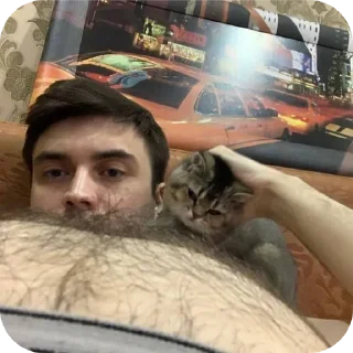 🐱