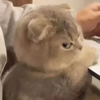 🤬