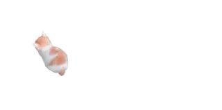 🐈