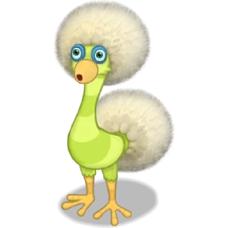 🦩