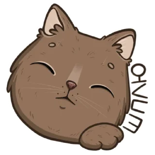 😴