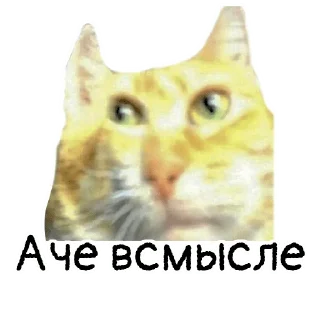 🫠