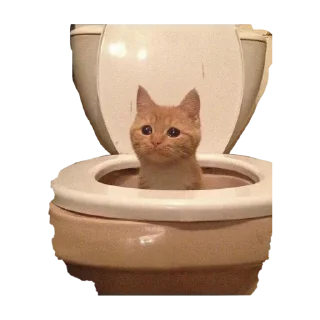 🚽