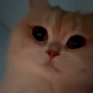 🥰