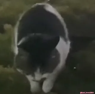 🕺