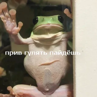 👋
