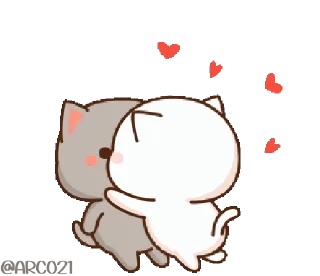 😽
