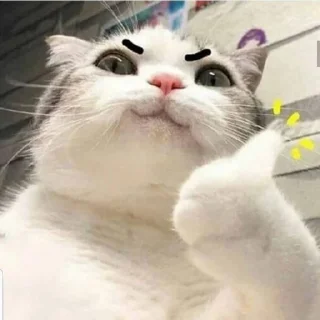 😏