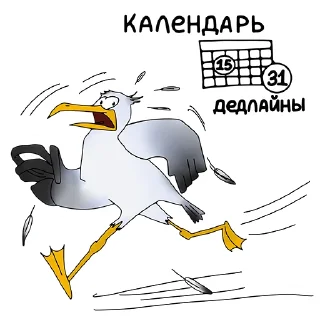 📆