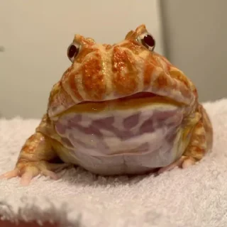 😳