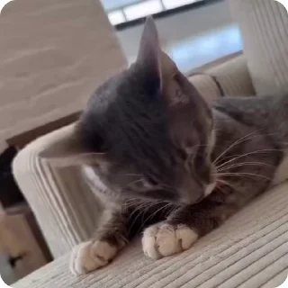 😜