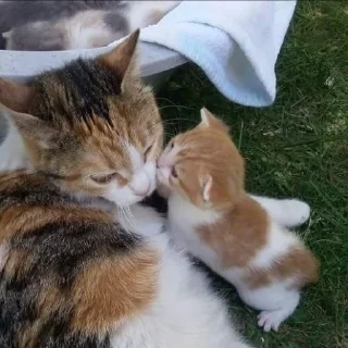 😘