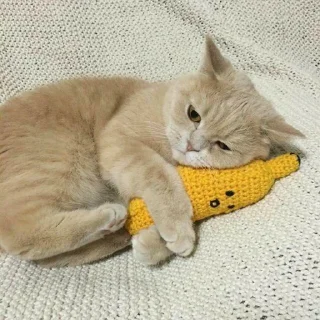 😢