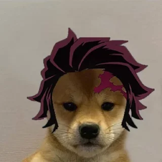 🐶