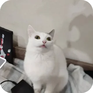 👍