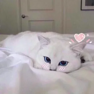 ❤️