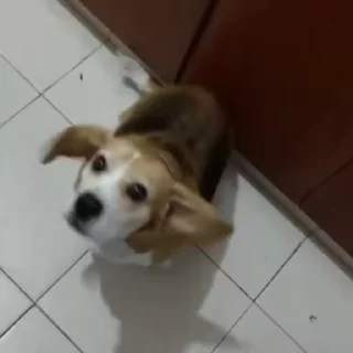 🕺