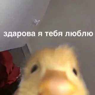 ❤️