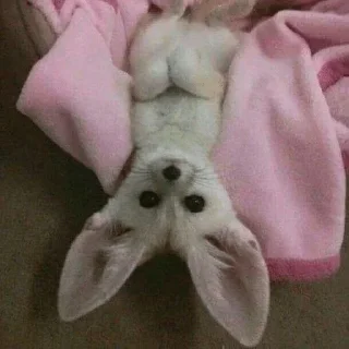 🙃