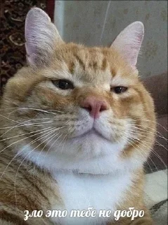 😇
