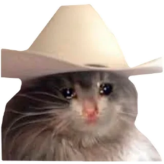 🎩