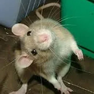 🤨