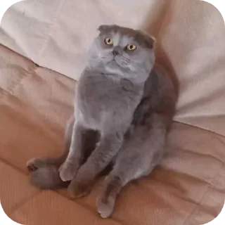 ❤