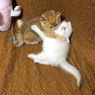 ❤️